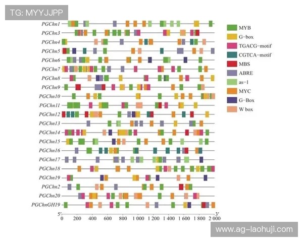 Slots游戏PG：提升游戏体验的实用技巧与PG老虎机玩法攻略